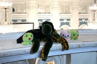 IMG_1611 octopi crop