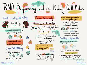 Illustrations_podocyte2021_All_Talks_1