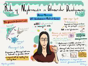 Illustrations_podocyte2021_All_Talks_11