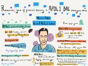 Illustrations_podocyte2021_All_Talks_14