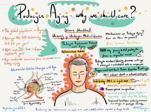 Illustrations_podocyte2021_All_Talks_17