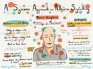 Illustrations_podocyte2021_All_Talks_18