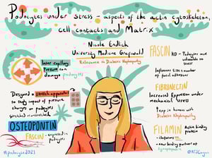 Illustrations_podocyte2021_All_Talks_19