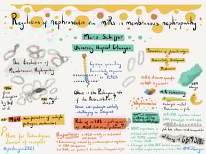 Illustrations_podocyte2021_All_Talks_2