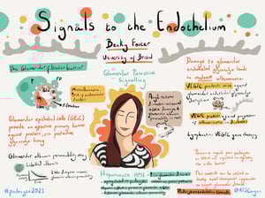 Illustrations_podocyte2021_All_Talks_21