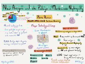 Illustrations_podocyte2021_All_Talks_23