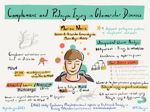 Illustrations_podocyte2021_All_Talks_25