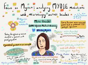 Illustrations_podocyte2021_All_Talks_28