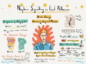 Illustrations_podocyte2021_All_Talks_3