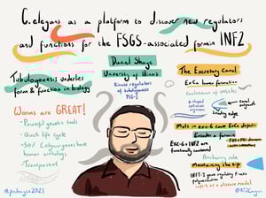 Illustrations_podocyte2021_All_Talks_30