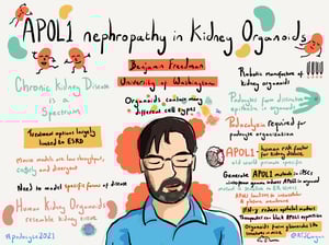 Illustrations_podocyte2021_All_Talks_31