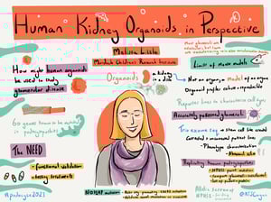 Illustrations_podocyte2021_All_Talks_36