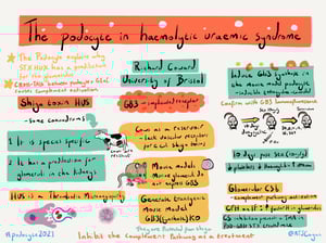 Illustrations_podocyte2021_All_Talks_38