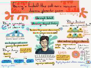 Illustrations_podocyte2021_All_Talks_4