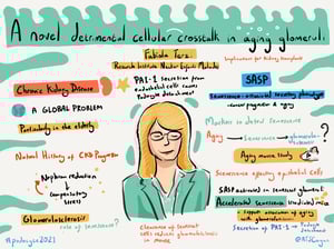 Illustrations_podocyte2021_All_Talks_40