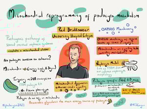Illustrations_podocyte2021_All_Talks_42