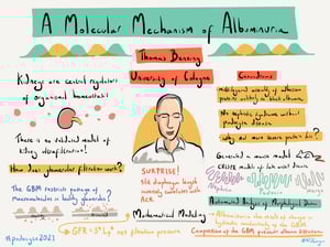 Illustrations_podocyte2021_All_Talks_5