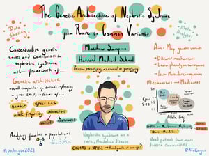 Illustrations_podocyte2021_All_Talks_6