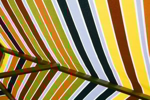 Section of beach umbrella with wooden frame