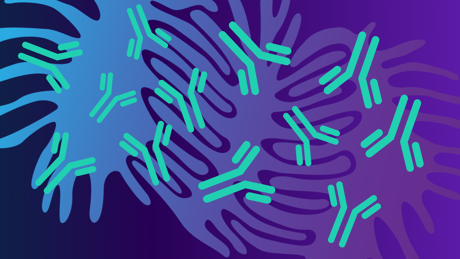 Anti-nephrin autoantibodies in minimal change disease and idiopathic NS