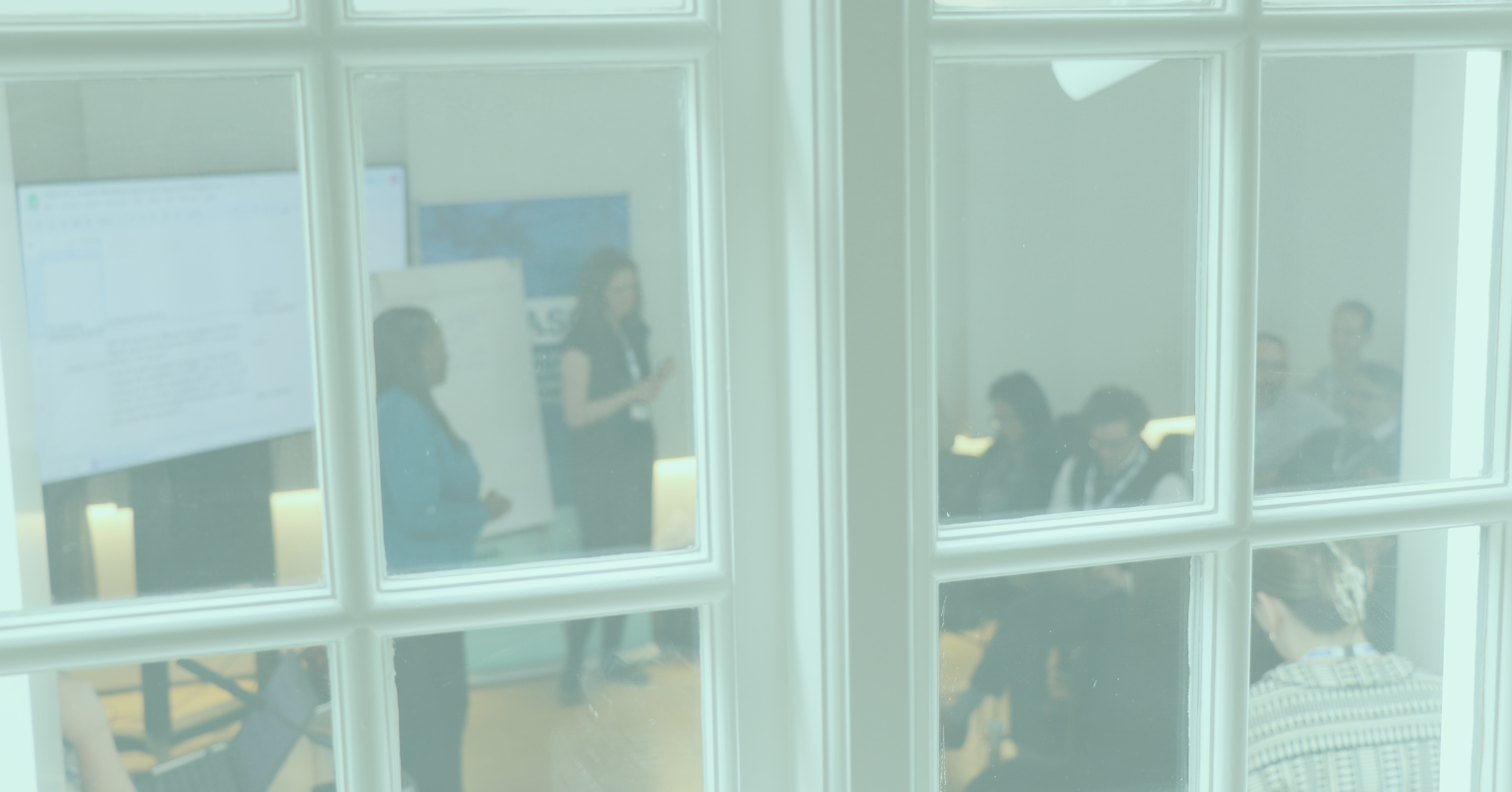 PARASOL Interim Meeting Report